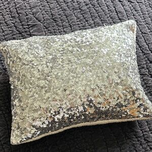 Pottery Barn Teen Silver Sequin Pillow cover and insert 16x12